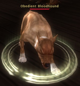 Obedient_Bloodhound.png