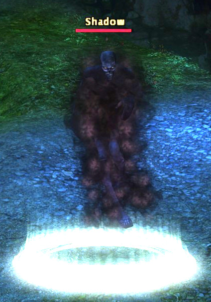 The Shadow Crypt - DDO wiki