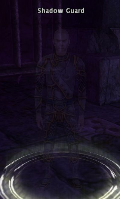 Shadow Guard - DDO wiki