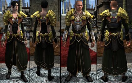 Item:Dark Noble Robe with Golden Pauldrons - DDO wiki