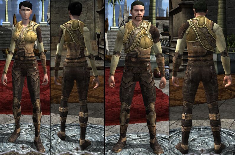 Ddo Female Light Armor Skins Cosmetic Armor Kits/Gold Crest Set DDO