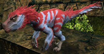 Dread Raptor Chick - DDO wiki