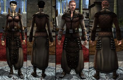 Item:Sage's Vestments (level 16) - DDO wiki