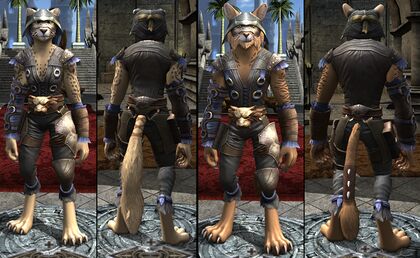 Item:Trailblazer's Outfit - DDO wiki