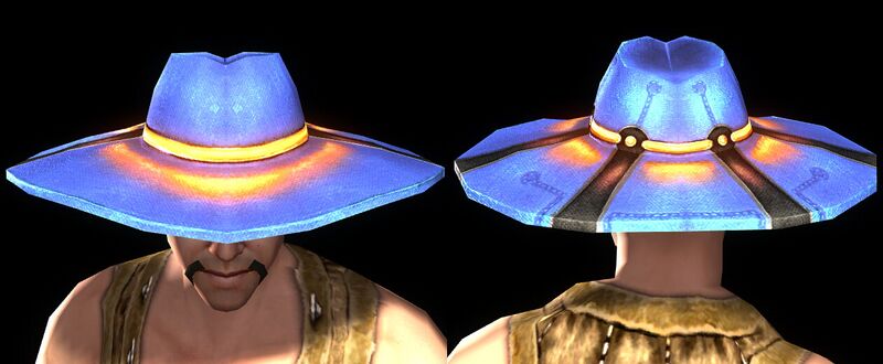 Item:Legendary University Investigator's Hat - DDO wiki
